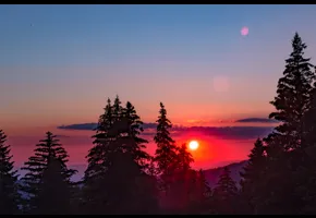 Dominique Joubert   |   2020   |   Concours GAD 2020 - non primée.