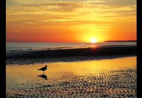 Helene Cornuel   |   2020   |   Concours GAD 2020 - non primée.