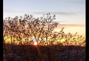 Manon Niquette   |   2020   |   Concours GAD 2020 - non primée.