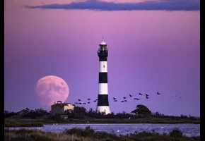 Dominique Joubert   |   2021   |   Concours GAD 2021 - 2ème prix