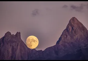 Dominique Joubert   |   2021   |   Concours GAD 2021 - non primée