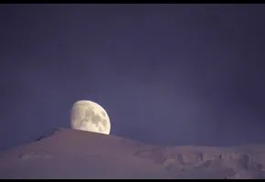 Dominique Joubert   |   2021   |   Concours GAD 2021 - non primée