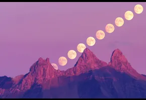 Dominique Joubert   |   2021   |   Concours GAD 2021 - non primée