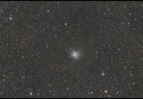 Philippe Couvée   |   2024   |   L'Iris