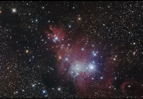 Philippe Couvée   |   03/2025   |   NGC-2264 / Le cone