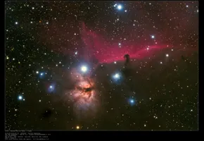 Patrick Dumontroty   |   30/12/2024   |   Tête de cheval (IC434) / C11-Edge / EQ8-RH Pro / Canon EOS 1200D défiltré