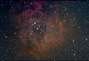 Philippe Couvée   |   2024   |   La rosette