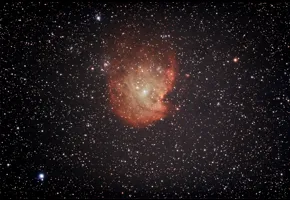 Philippe Couvée   |   2024   |   Le singe